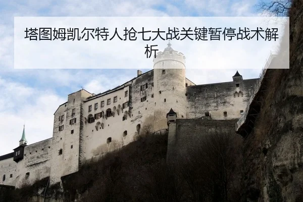 ta-tu-mu-kai-er-te-ren-qiang-qi-da-zhan-guan-jian-zan-ting-zhan-shu-jie-xi-2-431.jpg